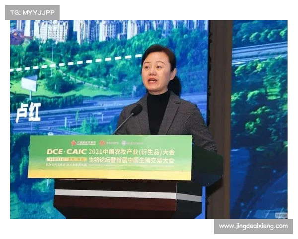 足球俱乐部转会市场利润分析与战略探讨 足球俱乐部转会市场利润分析与战略探讨