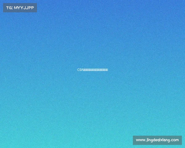 CBA训练强度分析与球员适应性研究探讨