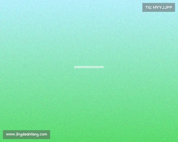 足球转会市场价格波动分析及其背后因素解读