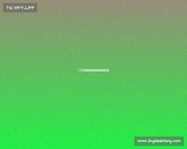 CBA训练强度分析与球员适应性研究探讨