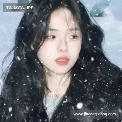 惠月泽