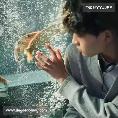 苗赛想